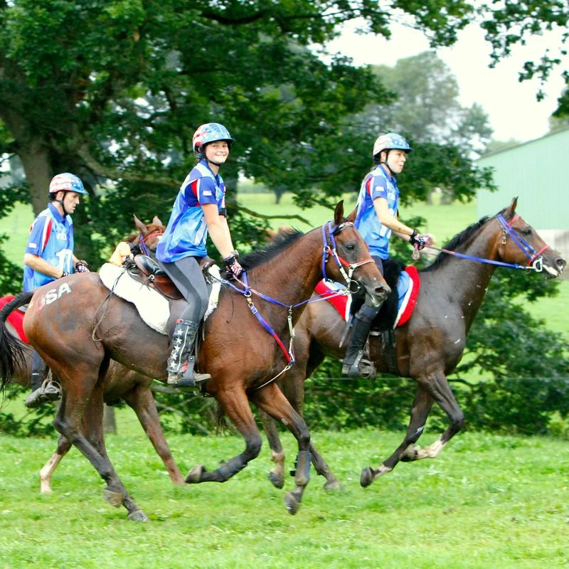 Irideon Kids' Synergy Knee Patch Tights - Graphite 2 Irideon Kids' Synergy Knee Patch Tights - Graphite - Image 2