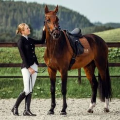 B Vertigo Women's Gabrielle Mesh Show Jacket - Black -Horse Rider Wear 384744 800 800