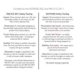 Champion Evolution Diamond Helmet - Black 7 Champion Evolution Diamond Helmet - Black -Horse Rider Wear 408605 800 800