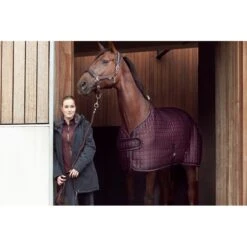 Catago Women's Malena Jacket - Black -Horse Rider Wear 423705 800 800