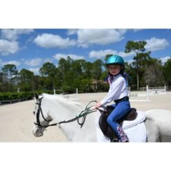 Ovation Metallic Schooler Helmet - Teal -Horse Rider Wear 437976 800 800