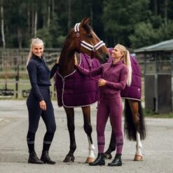 Horze Women's Elinor Cotton Stretch Riding Tights - Eggplant Dark Purple 8 Horze Women's Elinor Cotton Stretch Riding Tights - Eggplant Dark Purple -Horse Rider Wear 452565 800 800