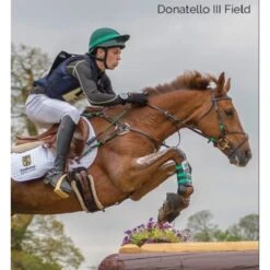 Tredstep Donatello III Field Boot - Black -Horse Rider Wear 524639 800 800