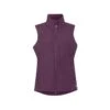 Kerrits Women's Transition Stretch Fleece Vest - Raisin