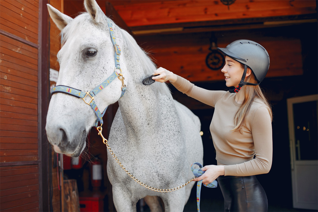 Horse Rider Wear -Horse Rider Wear basic horse care tips